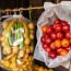 Сушка — искусство сохранения вкуса: как правильно сушить продукты дома и в промышленных масштабах